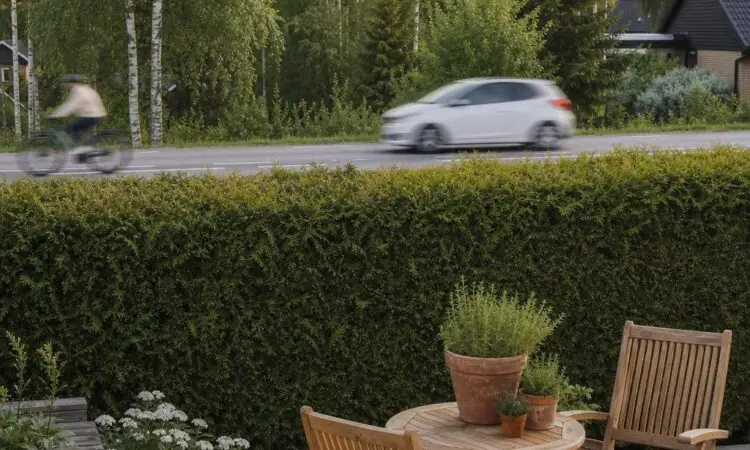 Liike häiritsee piha? Luo oma rauhan tyyssija aitakasveilla