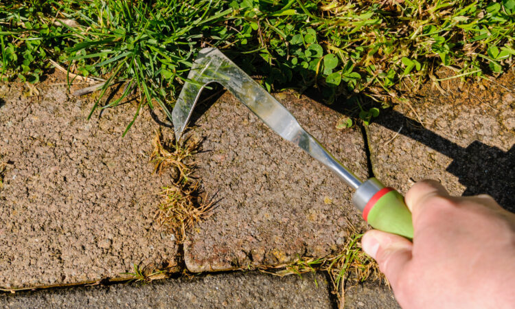 Rikkaruohoja kitketään kitkentätyökalulla mukulakivien välistä.